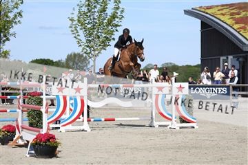 181436_avh_03_4646.JPG