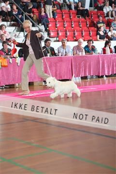 6068_ma_05_IMG_6024.JPG