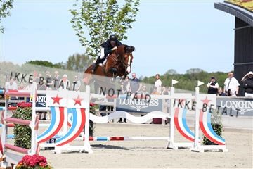 181436_avh_03_4452.JPG