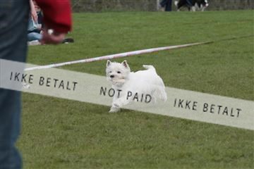 124188 _tl_02_IMG_9439.JPG