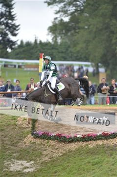 144462_bc_22__BC16147.JPG
