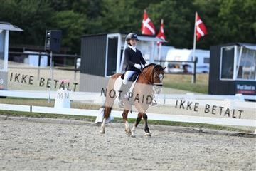 181894_mtp_05_R62_5298.JPG