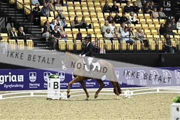 182194_kbb_03_Z090770.JPG