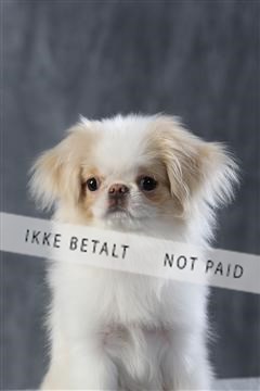 128239_le_kort_ 01_0116.JPG