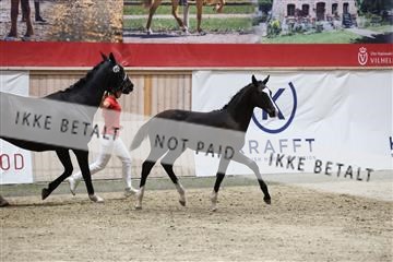 181957_mtp_08_R62_5657.JPG