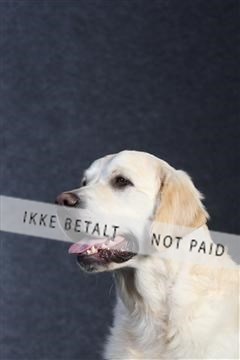 132082_le_ 01_IMG_0325.JPG