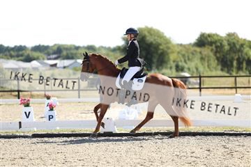 181894_mtp_02_R62_1792.JPG