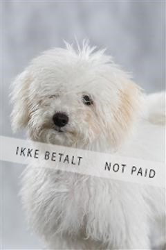 128239_le_kort_ 01_0356.JPG