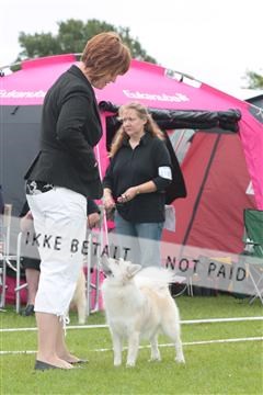 130370_tl_02_IMG_7635.JPG