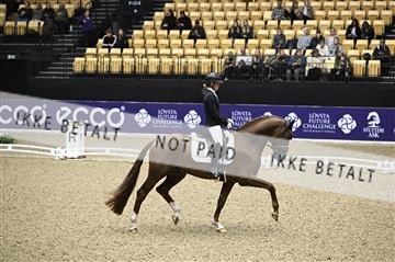182194_kbb_01_Z096759.JPG