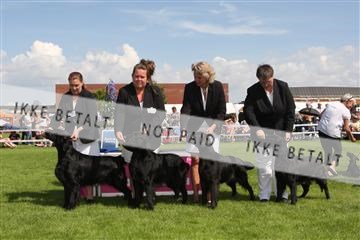 130370_se_03_IMG_7644.JPG