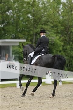 139835_sg_03_IMG_9138.JPG