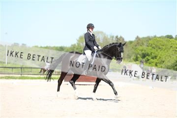168732_mtp_01_3M5A8009.JPG