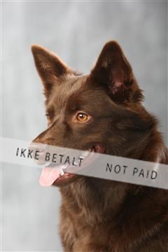 129608_le_ 01_0941.JPG