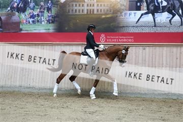 181887_mtp_02_R62_7814.JPG