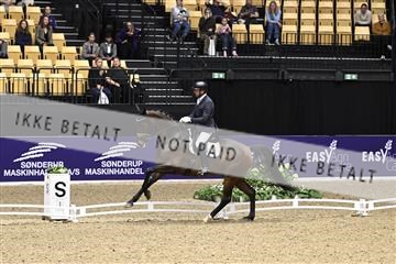 182194_kbb_03_Z091255.JPG