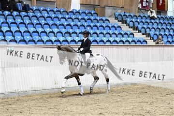 182241_kbb_01_Z093183.JPG