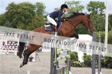 152762_nn _05_IMG_7580.JPG