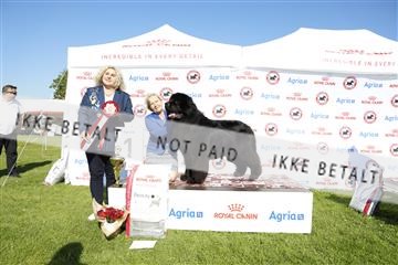 181564_kar_01__62_8366.JPG