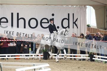 174363_kbb_01_R6II8755.JPG