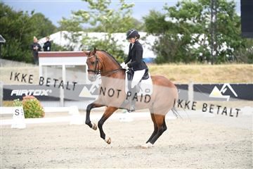 166078_kuo_02_D05_9022.JPG