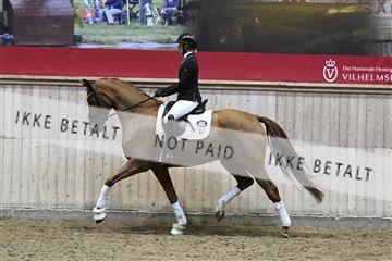 182241_kbb_01_Z093779.JPG