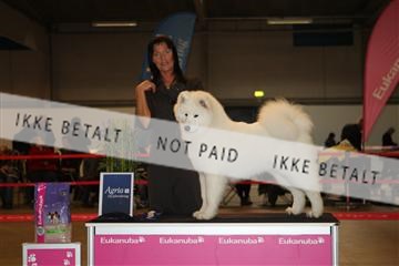 133496_ms_01_IMG_9259.JPG