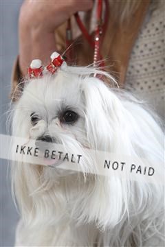 129608_le_ 01_0196.JPG