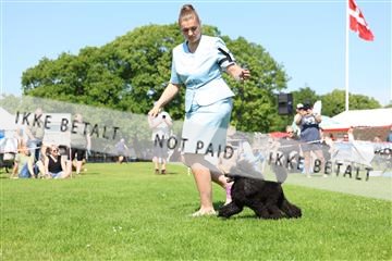 181564_rin_02_R62_3937.JPG