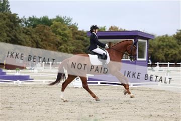 181923_mtp_01_R62_6422.JPG