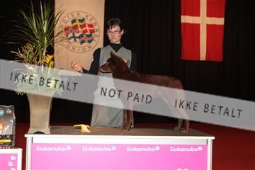 126827_tl_02_IMG_3116.JPG