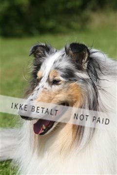 130370_se_03_IMG_7577.JPG