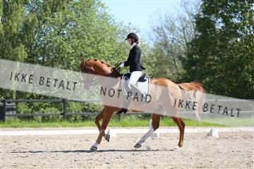 168732_mtp_01_3M5A8116.JPG