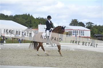 169624_kbb_01__KBB8707.JPG