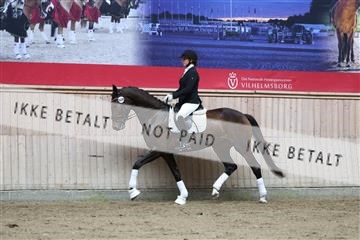 181887_mtp_02_R62_7552.JPG