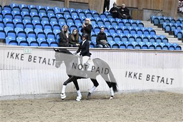 182241_kbb_01_Z095037.JPG