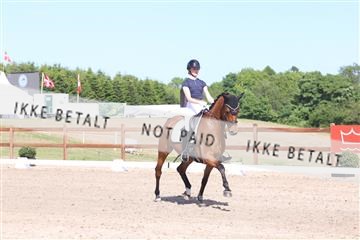 181449_bc_01R62_5923.JPG