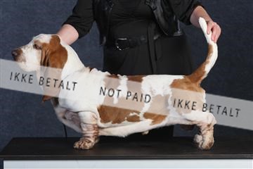 132082_le_ 01_IMG_0710.JPG