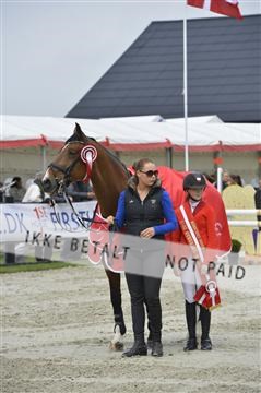 139644_abo_05__AB19932.JPG