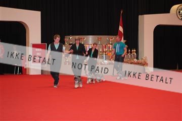 126827_tl_04_IMG_9824.JPG