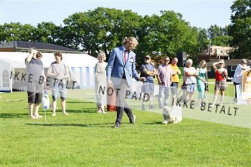 181564_kar_01__62_8321.JPG