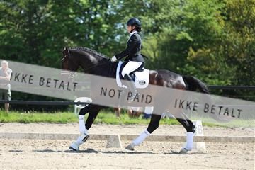 168732_mtp_01_3M5A7416.JPG