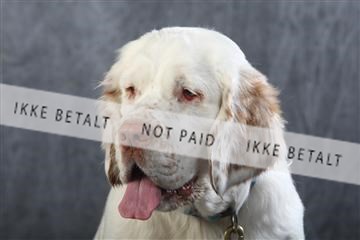 129608_le_ 01_0736.JPG