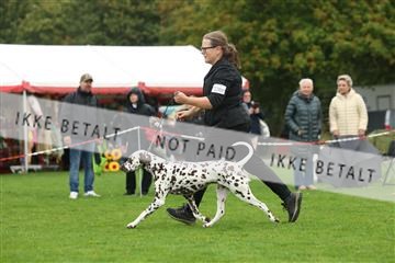 182009_rin_02_R62_2514.JPG