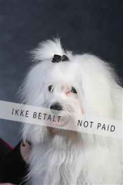 132082_le_ 01_IMG_0294.JPG