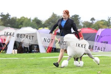 182009_rin_01_R62_6157.JPG