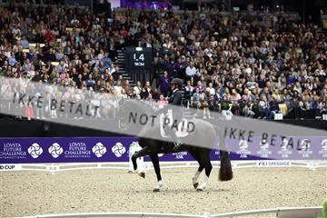 182194_avh_07_4373.JPG