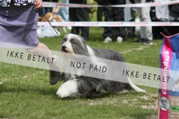 134871_ms_04_IMG_0595.JPG