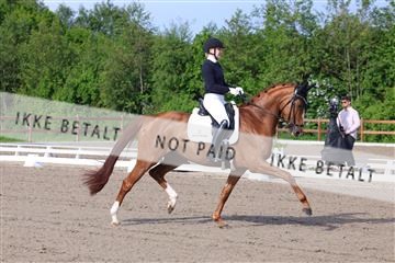 181449_bc_01R62_6561.JPG