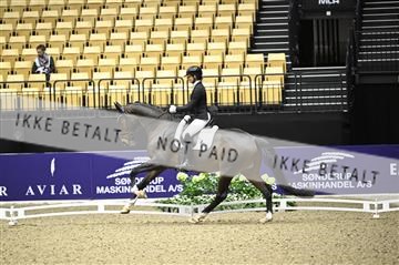 182194_kbb_02_Z098179.JPG